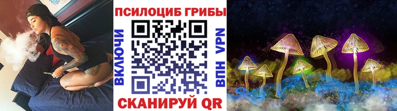 Галлюциногенные грибы Magic Shrooms  Елец 